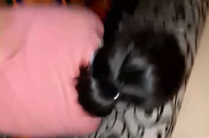 Кыргыздардын сигиши — коту чоон кыз