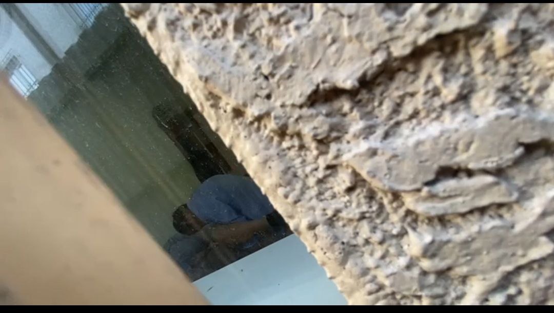 Женесин байкеси сигип жаткан жеринен видеого тартып алган